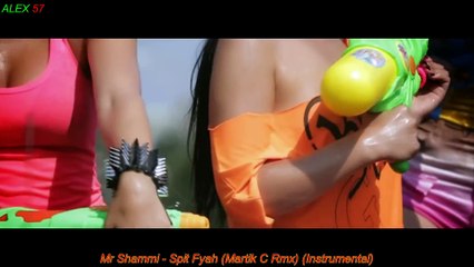 Mr Shammi   Spit Fyah Martik C Rmx Instrumental