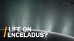 Best Evidence Yet For Alien Life On Saturn's Moon Enceladus