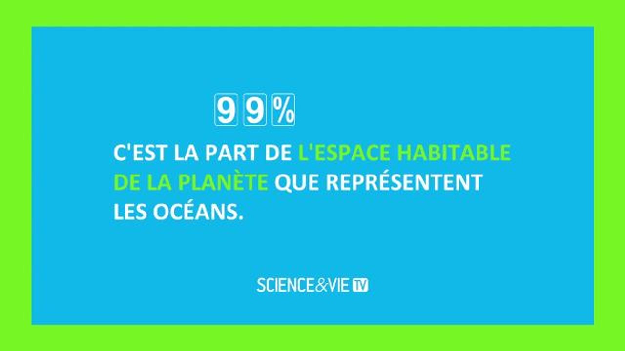 La face cachée des océans