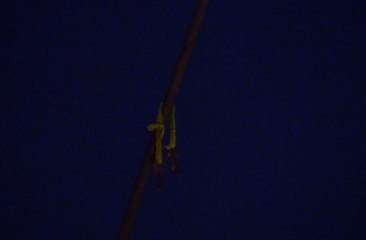 Mujer pierde la vida al tocar un cable de alta tensión en el centro de Guayaquil