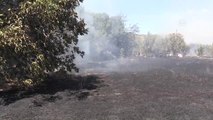 Bodrum'da Otluk Alanda Yangın