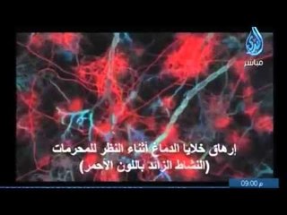 دراسة تؤكد أن النظر الى المحرمات يدمر خلايا الدماغ -  دراسات علمية خطيرة
