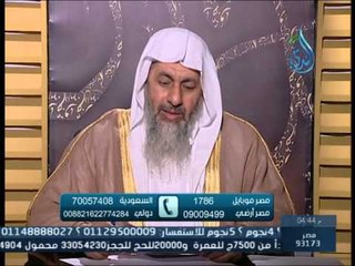 ما حكم تشقير الحواجب؟ الشيخ مصطفى العدوي