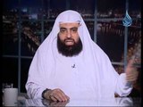 حيوانات أمر النبى صلى الله عليه وسلم بقتلها وأخرى نهى عن قتلها | الشيخ متولي البراجيلي