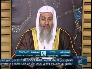حكم أكل لحم الحمير   رد الشيخ مصطفى على المذيع القائل أن الأزمات تستدعي ذلك | الشيخ مصطفى العدوي