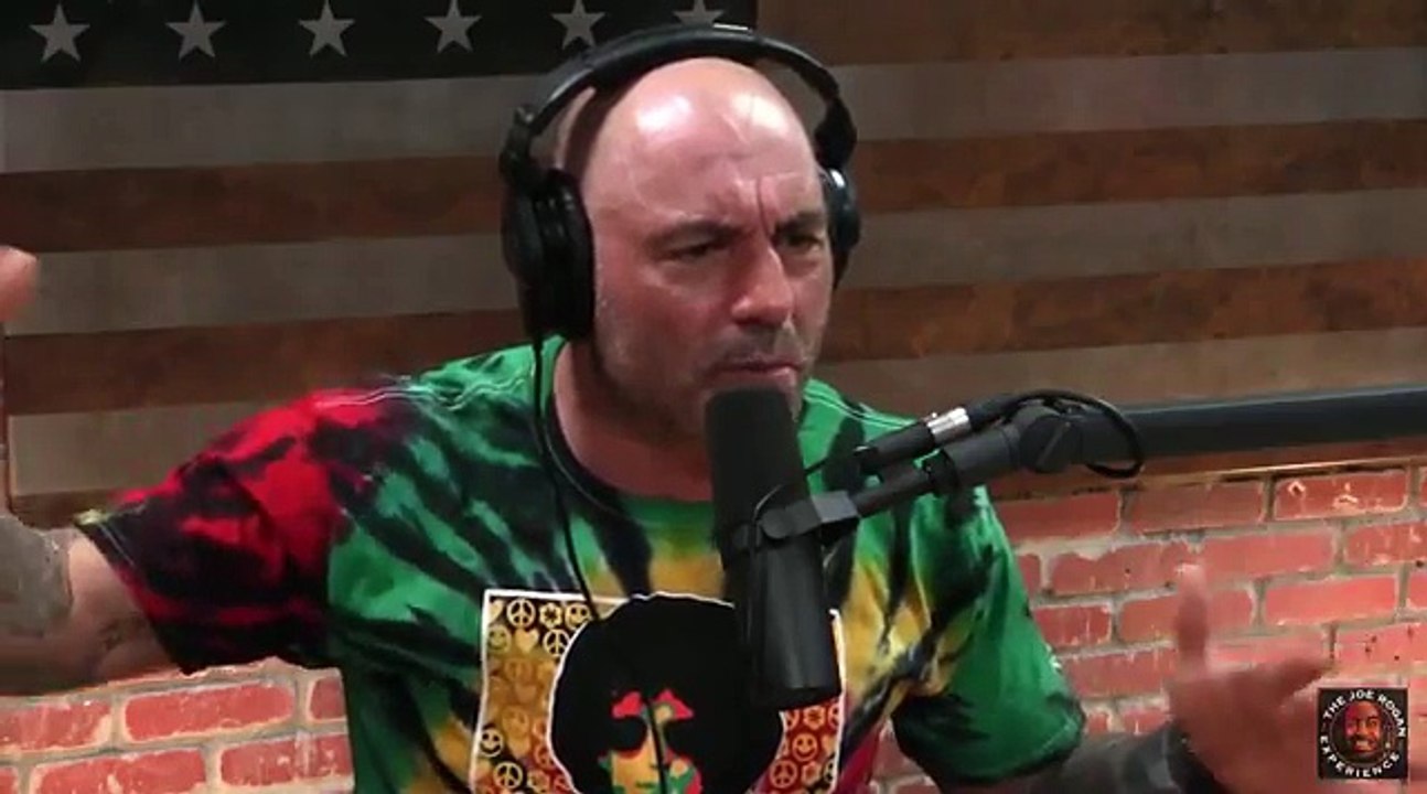 Joe Rogan Rants About Immigration