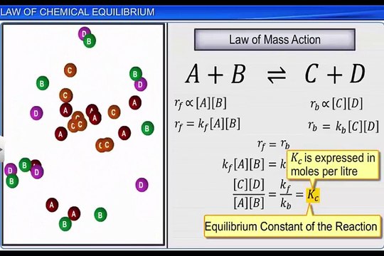 (4)CBSE Class 11 Chemistry, Equilibrium – 4, Law of Chemical Equilibrium
