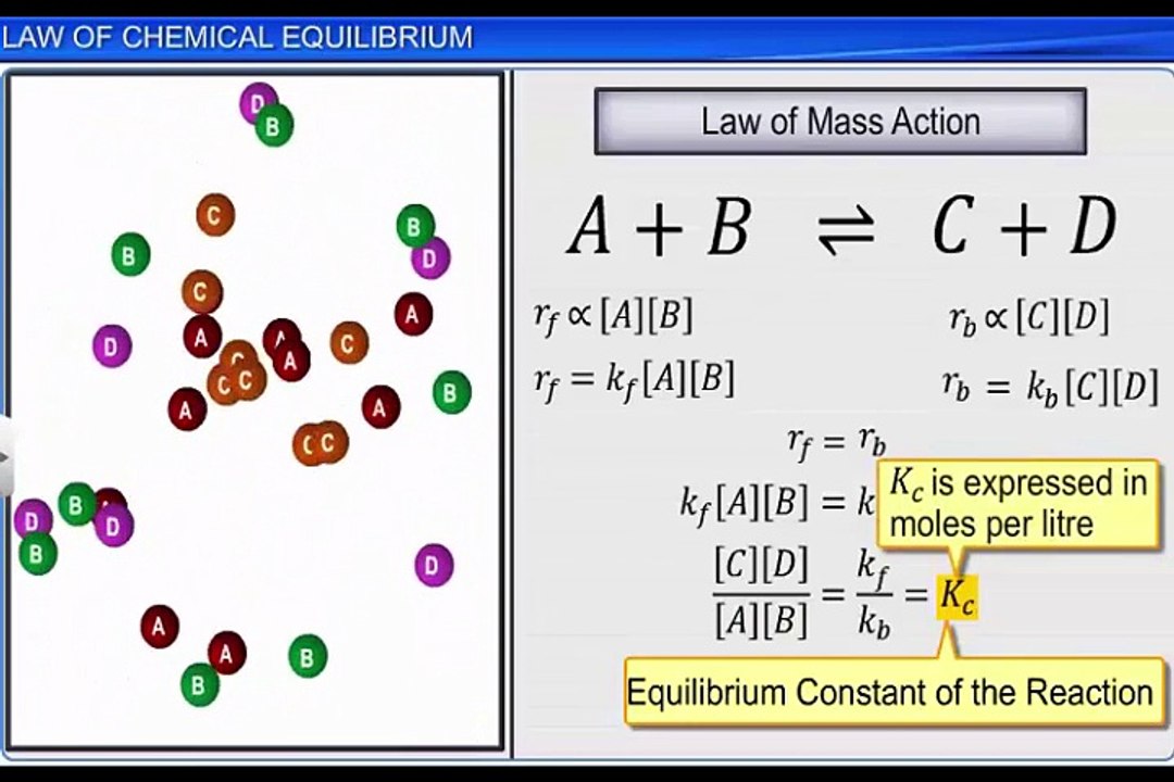 (4)CBSE Class 11 Chemistry, Equilibrium – 4, Law of Chemical Equilibrium