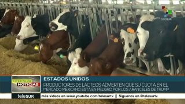 Aranceles de EEUU afectan a productores de lácteos