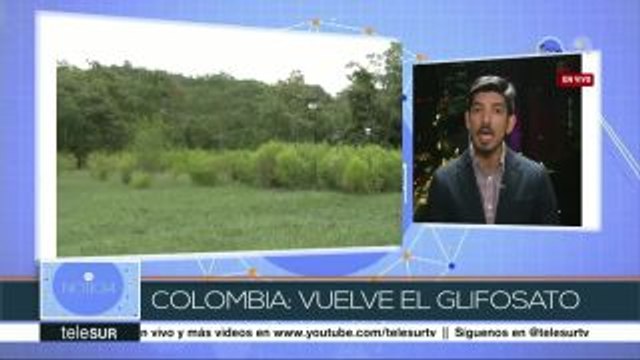 Colombia usará otra vez glifosato contra cultivos ilícitos