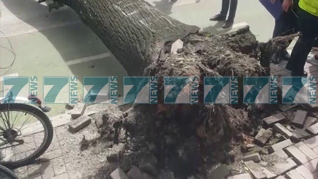 RREZOHET PEMA NE ZONEN E ISH BLLOKUT NE TIRANE, DEMTOHEN DY MAKINA, - News, Lajme - Kanali 10