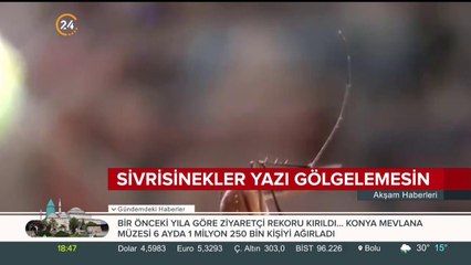 Doğal malzemelerle sivrisineklerden kurtulun