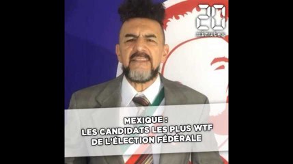 Mexique : Les candidats les plus WTF de l'élection fédérale