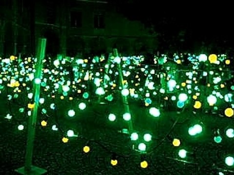 Fete des Lumières 2007 Vigne