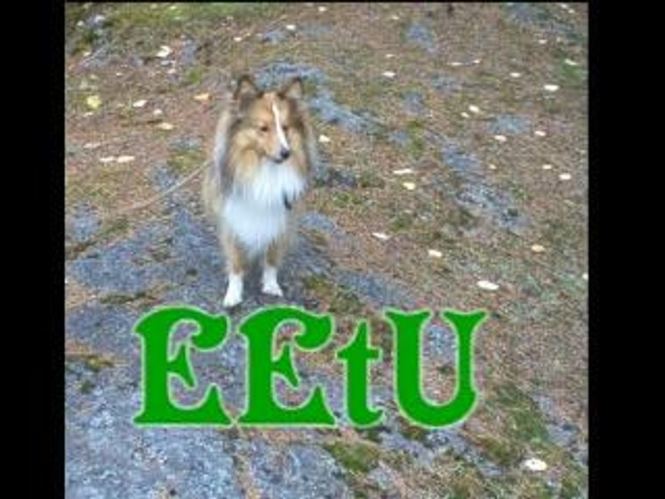 EETU THE HOT DOG