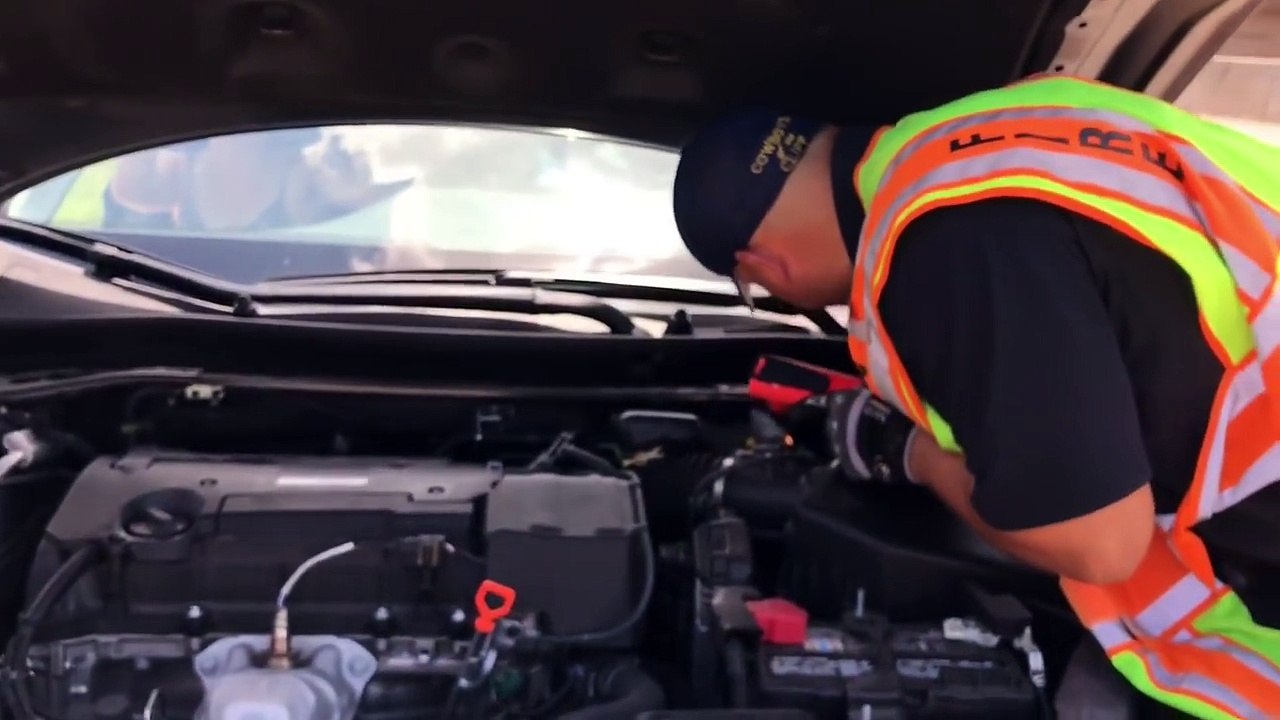 Moteur cassé ? Non !! Chaton coincé dans la voiture !