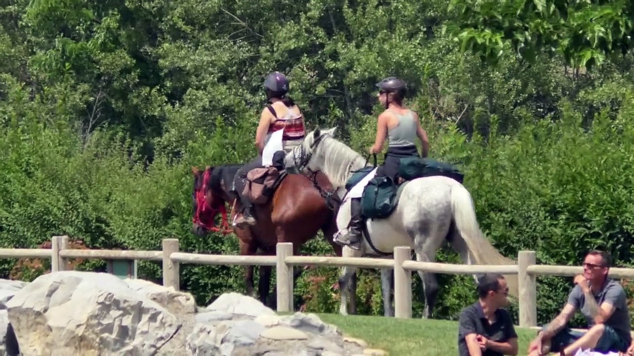 Alpes-de-Haute-Provence : le plan d'eau de Digne-les-Bains en fête , découvrez les temps forts de cet été avec le Beach Festival !