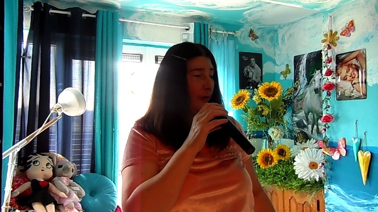 hugues aufray le petit ane gris.