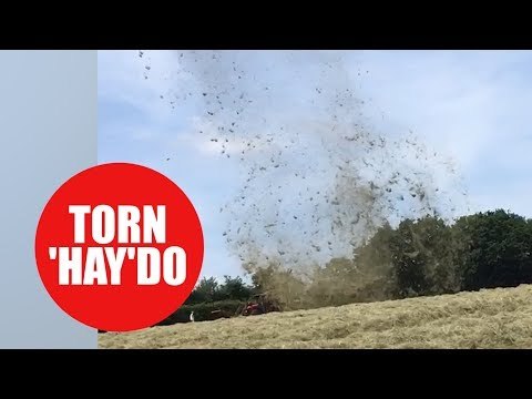 Mini twister known as a 'dust devil' whips hay 200ft into the air