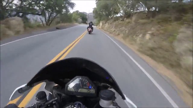 Ces motards roulent à toute vitesse sur une route de montagne en Harley davidson