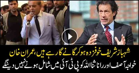 Rana Sana or Khwaja Asif cannot join PTI, Imran Khan