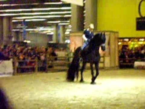 Démonstration dressage de frison au salon du cheval 2007