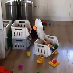 Когда нечего делать