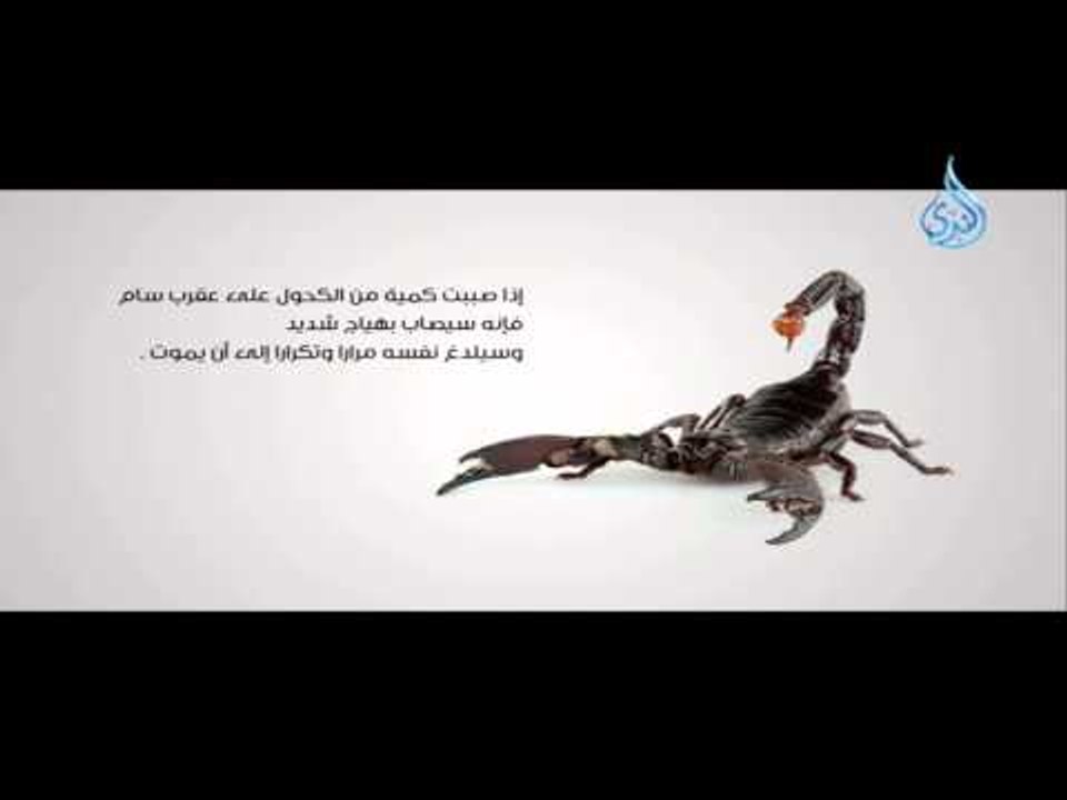 حقائق غريبة 8