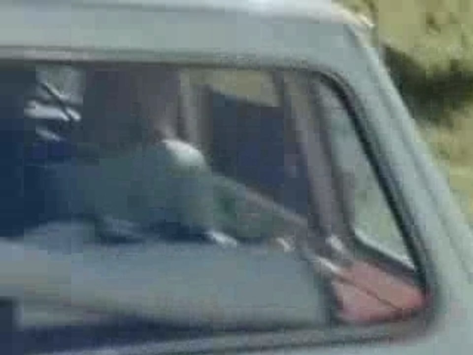 video choc