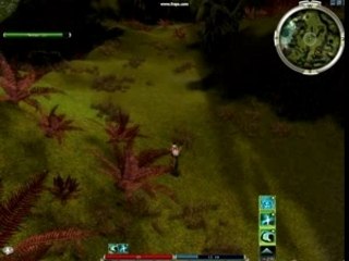 bug guild wars 2