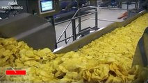 Potato Chips Processing Factory Line - How to make Potato Chip