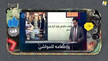 السليط الإخباري - تحرش دولي - الحلقة (14) الموسم الرابع
