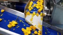 Amazing Fruit Peeling Modern Automatic Machine Compilation 2018