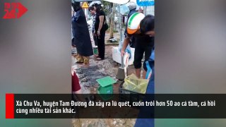 Mưa lũ ở Hà Giang, Lai Châu, Quảng Ninh, cá tầm phải đem ra chợ bán