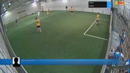 But de Alex (1-8) - Serbie Vs Suisse - 28/06/18 22:00 - CDM 2018 Poule E 28/06 - Poitiers Game Parc