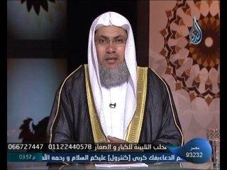 أراك على القمة| الشيخ السيد البشبيشي | حلقة 2