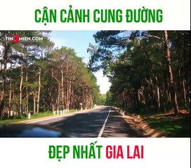 The most beautiful street in Gia Lai Vietnam