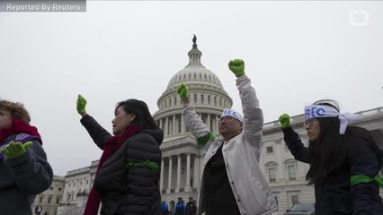 Women's March To Hold 'Civil Disobedience' Action In Washington