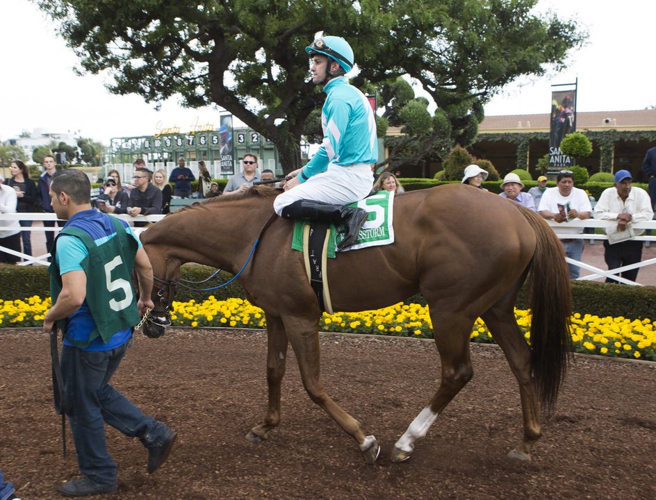 Comment devenir jockey professionnel ?