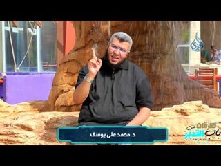سورة الفاتحة والبقرة | طرقات على باب التدبر | ح2 | د.محمد على يوسف