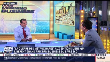 Quels sont les enjeux écologiques et économiques des métaux rares ? - 29/06