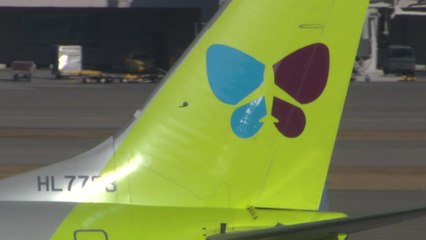 국토부, 진에어 처리 방안 발표 / YTN