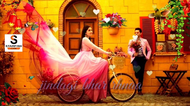 Zindagi Bhar Rehna Tum Sath Mere ! New Heart Touching Whatsapp Status ! 30 Sec ! Starfish Cab !
