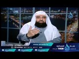 عاطفة الأبوة دفعت نوحا عليه السلام لمناداة ابنه وسط الأمواج |الشيخ متولي البراجيلي
