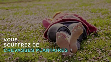 Le remède naturel contre les crevasses plantaires