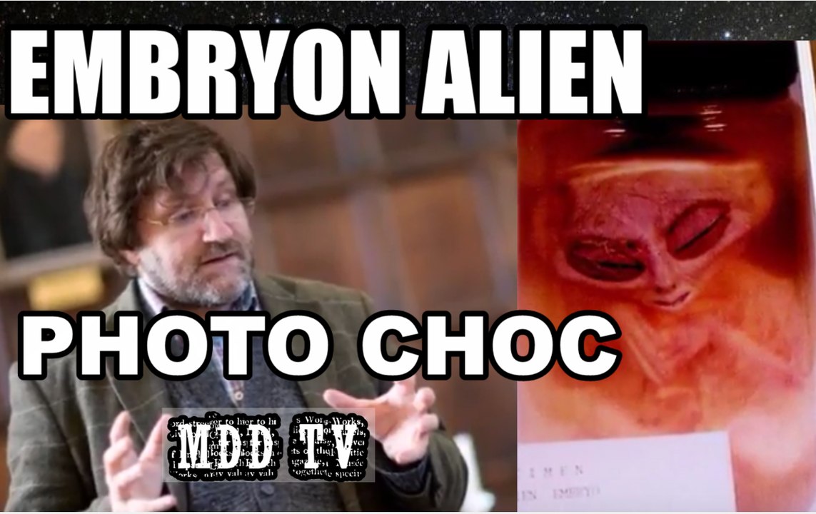 L'APPAREIL PHOTO PERDU D'UN OFFICIER RÉVÈLE UNE IMAGE DU EMBRYON ALIEN MDDTV