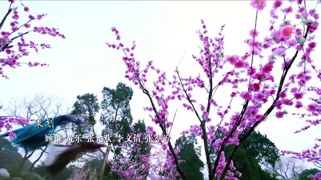 MANH PHI GIÁ ĐÁO Tập 14 Thuyết Minh - Phim Trung Quốc - Hạ Nhất Đao, Kim Thần, Uông Đông Thành