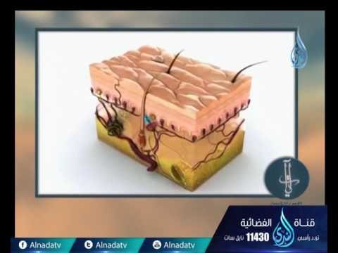 كلما نضجت جلودهم | ح13 | آيات لقوم يتفكرون | الدكتور محمد العجرودي