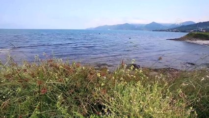 Karadeniz'in turizmde parlayan yıldızı 'Yason Burnu' - ORDU