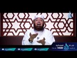 القضاء علي الفوارق الطبقية | ح11| مواقف من حياة النبي | الشيخ محمود المصري